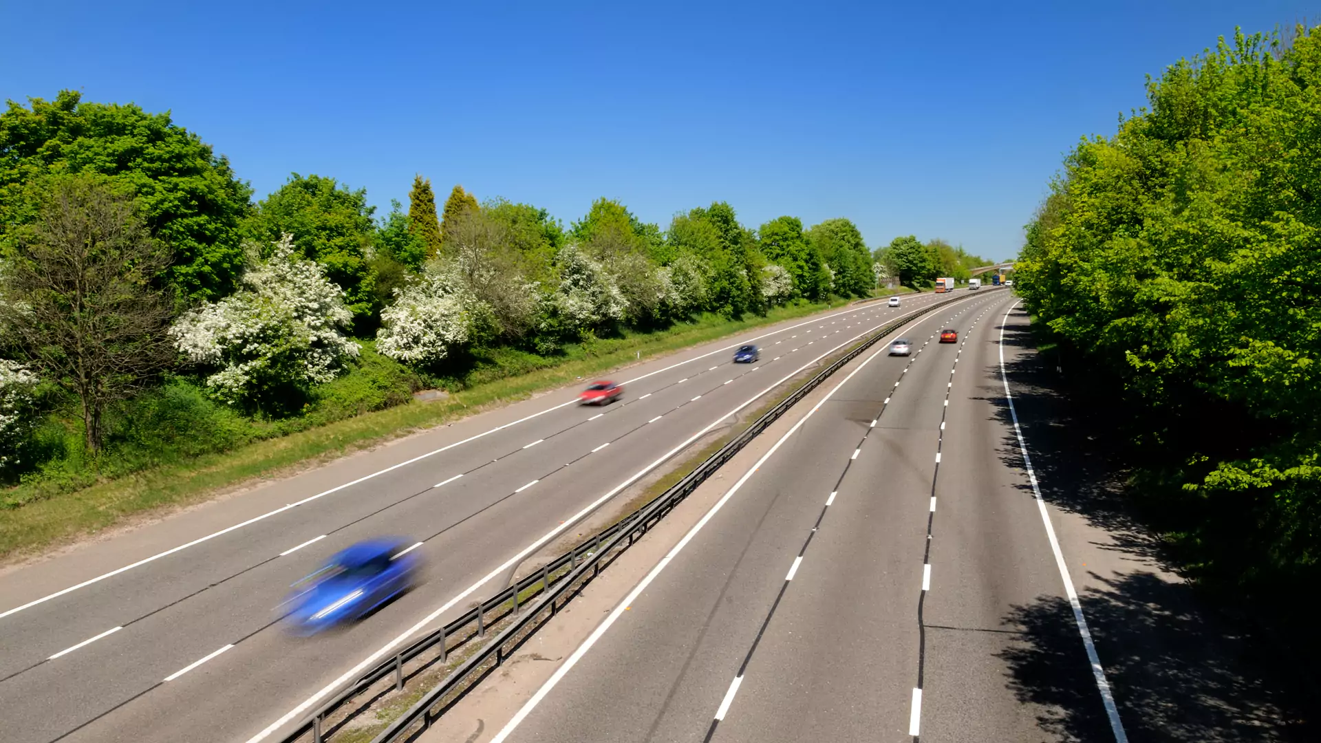 Obsługa agencyjna - Importerzy i dealerzy